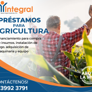 PRÉSTAMOS PARA AGRICULTURA 4