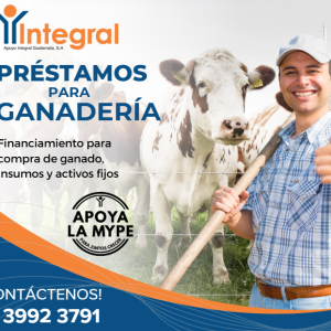 PRÉSTAMOS PARA GANADERÍA 1